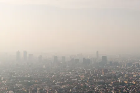 Contaminación 